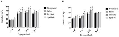 The Effects of In Ovo Injection of Synbiotics on the Early Growth Performance and Intestinal Health of Chicks